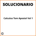 Solucionario Calculus Tom Apostol Vol 1 Pdf